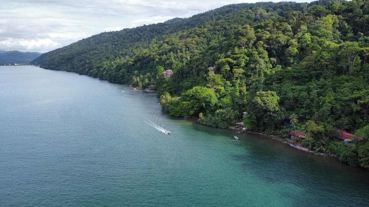 A scenic view of a lush green coastline with a calm blue sea and a boat gliding along the water.