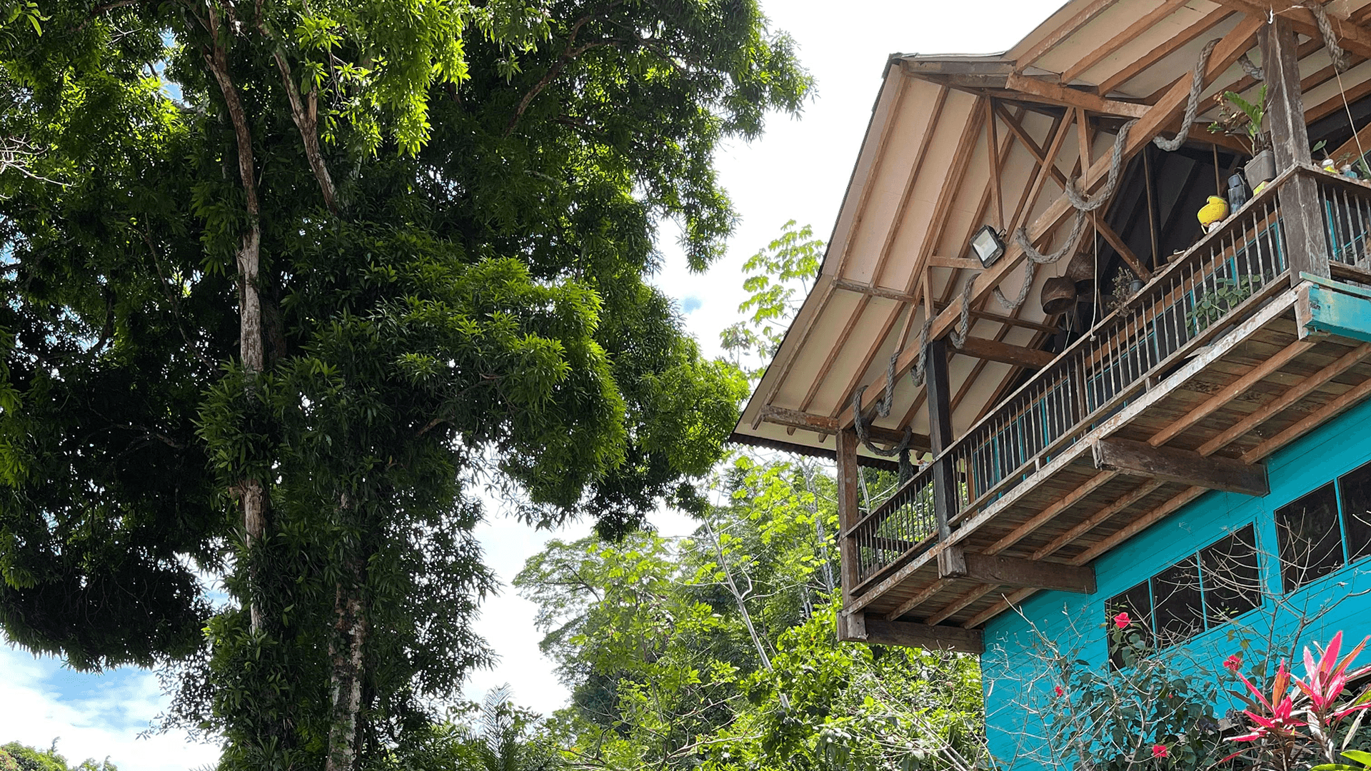 A vibrant turquoise house with a wooden balcony surrounded by lush greenery.